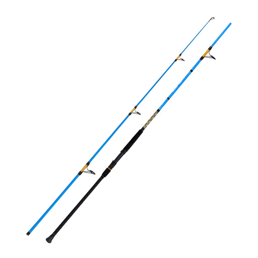Fiblink Carbon Fiber Surf Fishing Rod - 11ft To 15ft Travel Spinning/Casting Rods With Stainless Guides