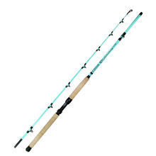 Fiblink Catfish Fishing Rods, 2 Piece Catfishing Pole, Portable Travel Medium Heavy Catfish Cat Casting Rod with Cork Handle