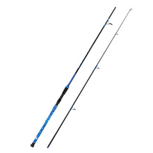 Fiblink Surf Rod,Portable Travel Spinning Fishing Rod,2Piece/3Piece/4Piece Carbon Fiber Fishing Rod 9'/10'/12'/14'