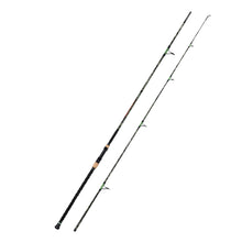 Fiblink Surf Fishing Rod,Carbon Fiber Surf Rod,2Piece/3Piece/4Piece Travel Fishing Rod 9'6"/10'/12'/15'