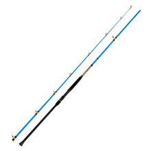 Fiblink Surf Spinning/Casting Fishing Rod 2-Piece Carbon Fiber Travel Fishing Rod (12-Feet & 10-Feet)
