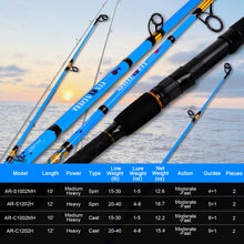 Fiblink Surf Spinning/Casting Fishing Rod 2-Piece Carbon Fiber Travel Fishing Rod (12-Feet & 10-Feet)