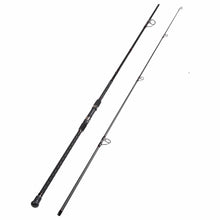 Fiblink Moonsniper Surf Spinning Fishing Rod 2-Piece Graphite Travel Fishing Rod